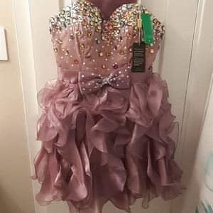 Bejeweled  Blush Formal/Semi Dress  SZ M